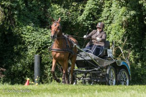 dressuur en vaardigheid  nienoord 10-8-2015  joshua keller-0189    